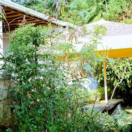 Inzozi Africa House B&B-Kimihurura 키갈리 외부 사진